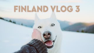 Husky ride in Lapland, Finland.