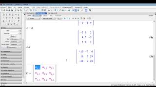 Matrices y Determinantes en Maple