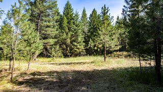 NEW LISTING: Lot 25 Park Circle Drive, Polson, MT 59860