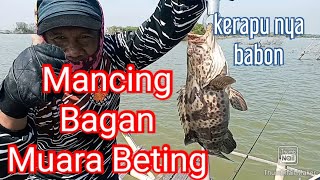 Mancing Bagan muara Beting/Bagan pak Ladi/tarikan babon nya bikin kaget'#mancingbagan#mancingdilaut