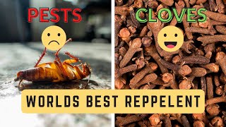 Cloves: Your Natural Pest Repellent - Here's How to Use Them Effectively