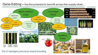 Briefing session: Applications of gene editing in crop breeding