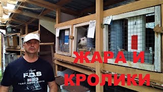 МОИМ КРОЛИКАМ НЕ ЖАРКО (( ДВЕ ПОДСКАЗКИ ПОЧЕМУ))  содержание и разведение кроликов