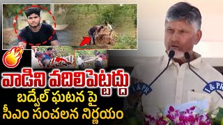 వాడిని వదిలిపెట్టద్దు | CM Chandrababu Serious Reaction About Badvel Girl Incident | NTIMES