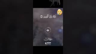 وجاءت سكرة الموت بالحق ذلك ماكنت منه تحيد