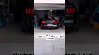 Mustang GT Cold Start! Loud Enough?