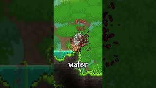 Useless Terraria knowledge