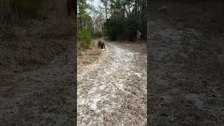 Sledding Southern Style! #winter #sledding #southern