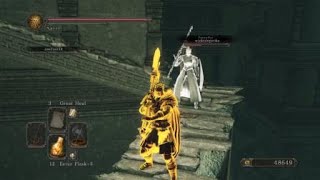 DARK SOULS™ II - No Hero Landing for Joe