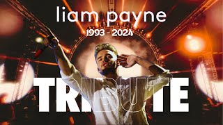 Liam Payne - Tribute Video | RIP 1993 - 2024 🪽❤️ | One Direction | DJ SLOW FLOW