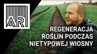 Regeneracja roślin podczas nietypowej wiosny || AR #203