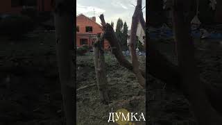 Обстріл Харкова 26.09.24