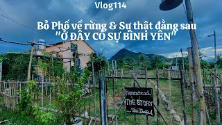 #114| - Sự thật đằng sau Câu "Ở ĐÂY CÓ SỰ BÌNH YÊN" khi Bỏ Phố về rừng