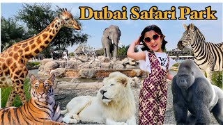 Dubai Safari Park Adventure || full tour ||giraffe feeding || Must visit place in uae 🇦🇪