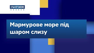 Мармурове море під шаром слизу