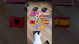 🇦🇱 Albania vs Spain 🇪🇸 Cat Oracle predicts match result. UEFA Euro 2024