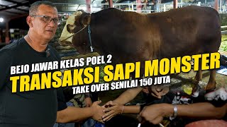 Transaksi Sapi Monster Bejo 1,107 Ton Senilai 150 Juta