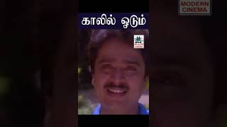 Kaalil Odum காலில் ஓடும்  Vaadi Kaththu வாடி காத்து | Chithra