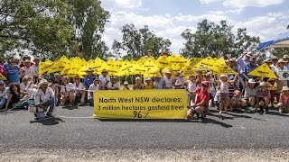 We Are Going Gasfield Free!