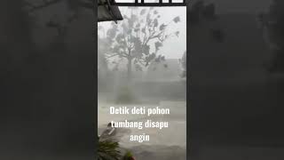 ya allah angin begitu kencang sekali.merobohkan banyak rumah dan pohon.