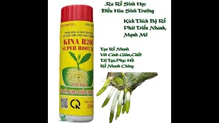 Phân Sinh Học Ra Rễ Cực Mạnh Kina R206 , 0967 863 963