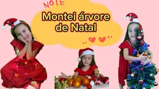 Montei  árvore de Natal/ Papai Noel/Feliz Natal -merry christmas