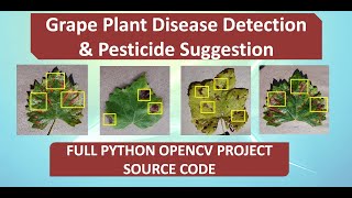 Grape Leaf Disease Detection and Pesticide Suggestion Using Python Opencv Final Year Project