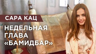 Недельная глава «Бамидбар»