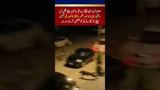 اسلام آباد ڈی ایچ اے فیز 2میں چیتا نکل آیا.   #news #leopard #islamabad #dhaphase2 #youtubeshorts