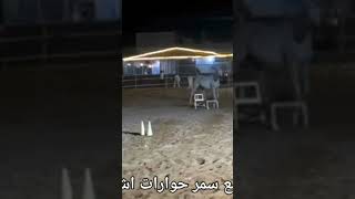 الشقة المشبوهة #قصص