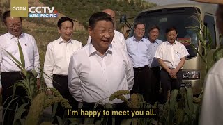 President Xi Jinping visits fields and chats with villagers in Shaanxi