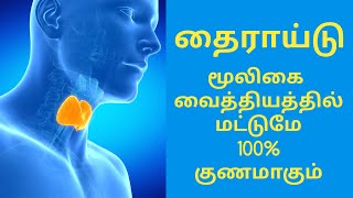 How to cure thyroid completely in tamil| herbal remedy for thyroid| தைராய்டு முழுமையாக குணமாக