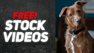 How To Get Free Stock Footage ☺️ | Stock Footage Kaha Se Download Kare 🤔#How to