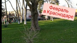 Наконец солнце +10☀️ Погода в Краснодаре Переезд в Краснодар февраль 2022