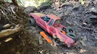 Toyota truck Jeep Wrangler Ford Bronco RC scale rock crawlers in Hawaii, Maui jungle