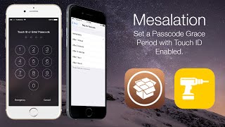 Mesalation: Set a Passcode Grace Period with Touch ID Enabled