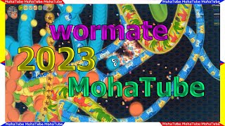 Wormate.io Funny Epic Gameplay