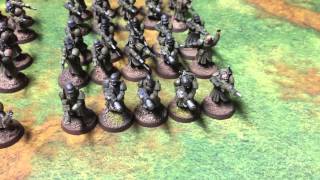 Imperial guard painted army on eBay