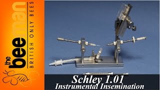 Instrumental Insemination schley 1:01 Review