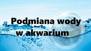 Podmiana wody w akwarium #regalAkwarystyczny #hodowlaRyb #czyszczenieAkwarium #sprzatanieAkwarium