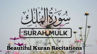 Surah AlMulk سورة الملك | This Will Remove YourWorries and Sadness@silentgirlmissnargis#surahmulk