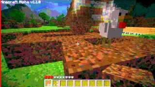 Minecraft Alpha: How to catch a chicken!