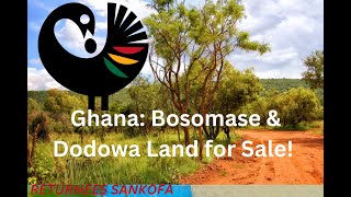 Ghana: Bosomase & Dodowa Land for Sale! | Buying Land in Ghana!