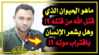 ماهو الحيوان الذي قتل الله من قتله⁉️وهل يشعر الإنسان باقتراب موته⁉️🤔