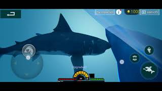 Feed And Grow Fish Android : Great White Shark