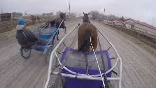 Harness Racing!! Two year old trotters training set. What it's like to train a racehorse!!