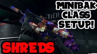 BEST MINBAK CLASS SETUP IN MW2! THIS MINIBAK SHREDS!