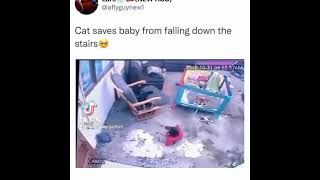 Cat saves baby from falling down the stairs👀