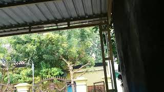 Hujan di siang hari