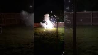 Firework